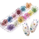 Caixinha com 12 Flores Secas Encapsulamento Decoração Unhas De Gel