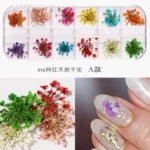 Caixinha com 12 Flores Secas Encapsulamento Decoração Unhas De Gel - Imagem 2